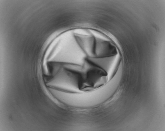 X0000113631389200910162006