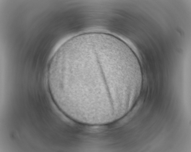 X0000113631390200910162006