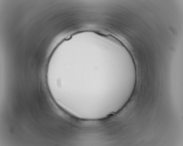 X0000113631392200910162006