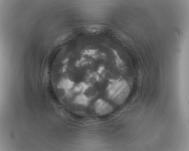 X0000113631394200910162005