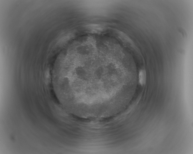 X0000113631395200910162005