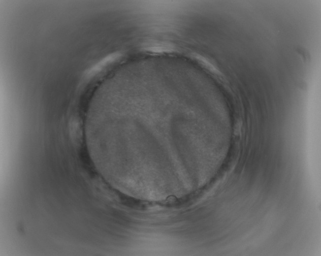 X0000113631398200910162005