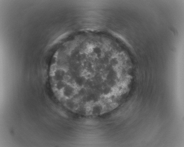 X0000113631399200910162005