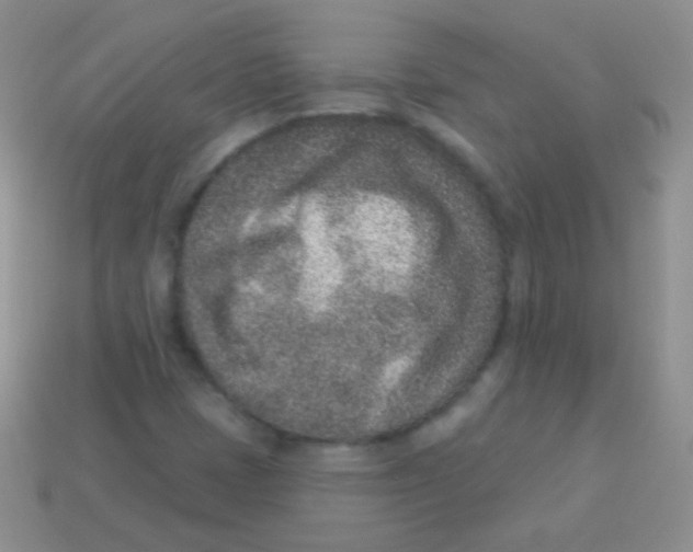 X0000113631401200910162005