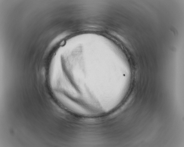 X0000113631402200910162005