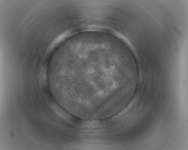 X0000113631403200910162005