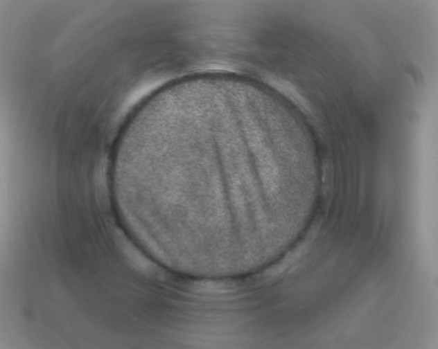 X0000113631404200910162005