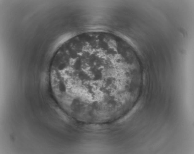 X0000113631405200910162005