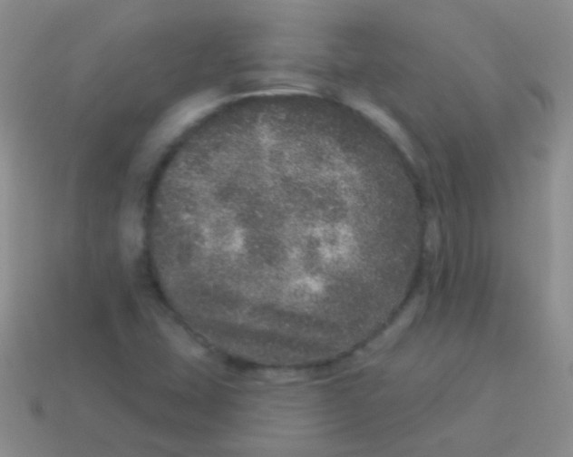 X0000113631407200910162005