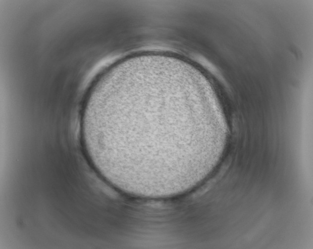 X0000113631408200910162005