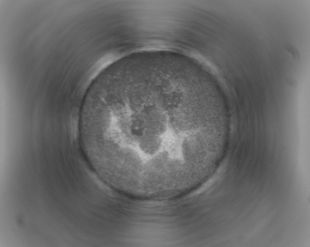 X0000113631409200910162005