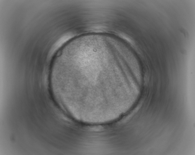 X0000113631410200910162005