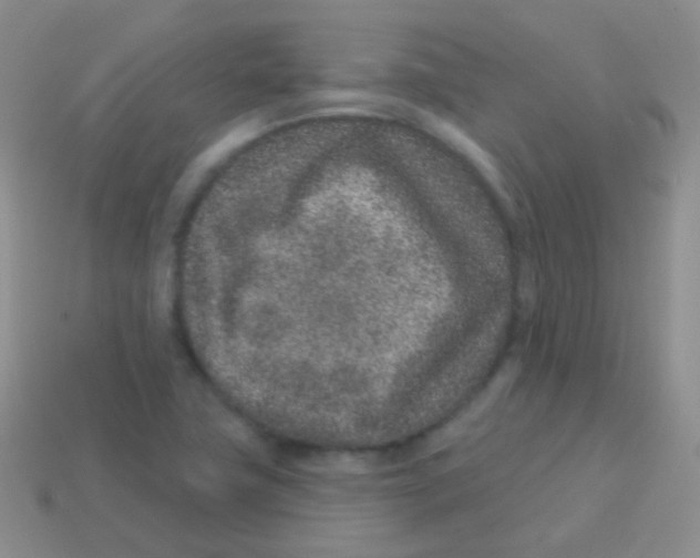 X0000113631411200910162005