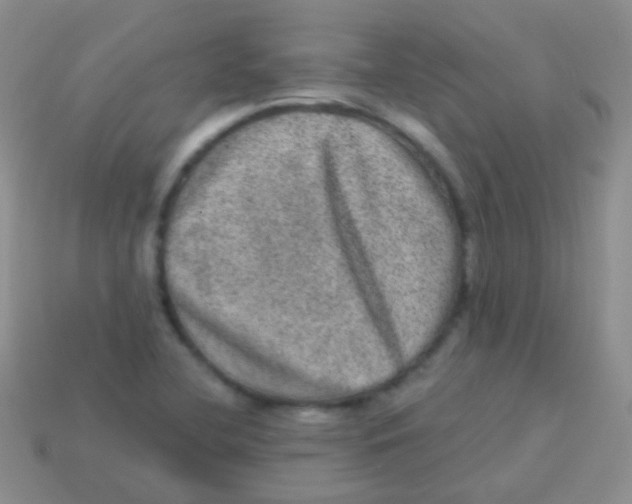 X0000113631412200910162005