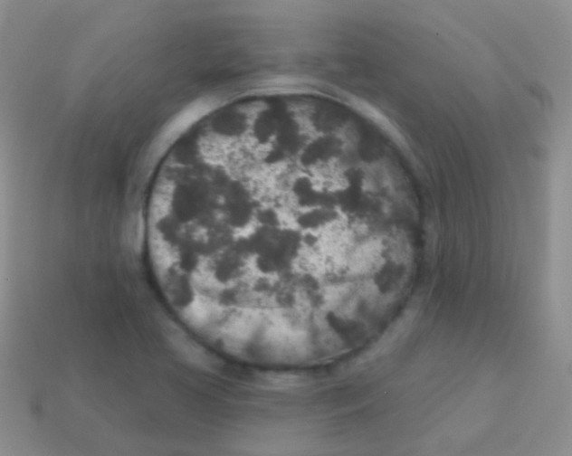 X0000113631413200910162005