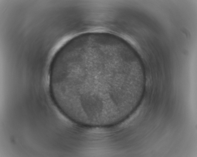 X0000113631414200910162005