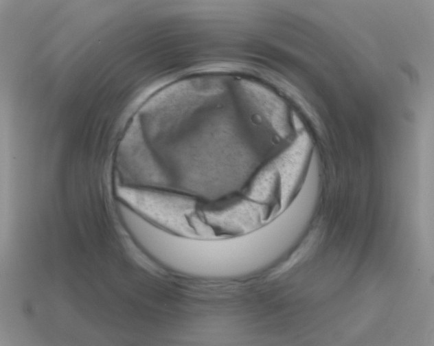 X0000113631417200910162005