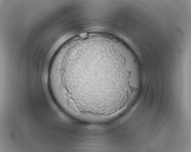 X0000113631418200910162005