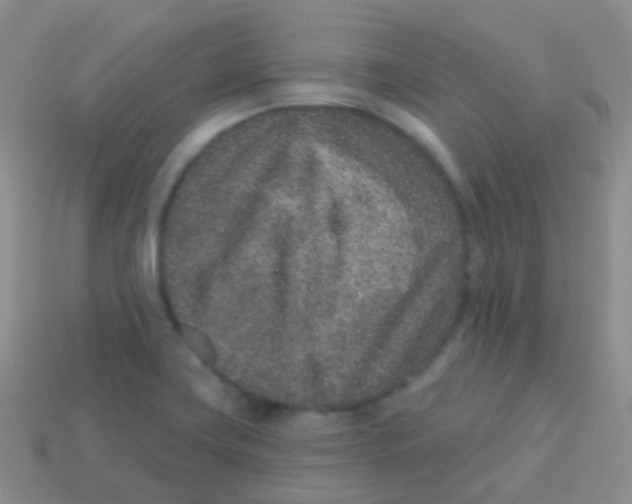 X0000113631419200910162005