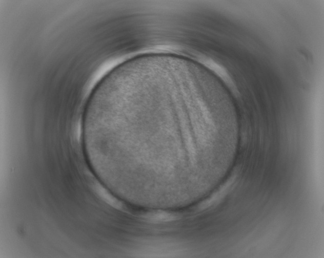 X0000113631420200910162005