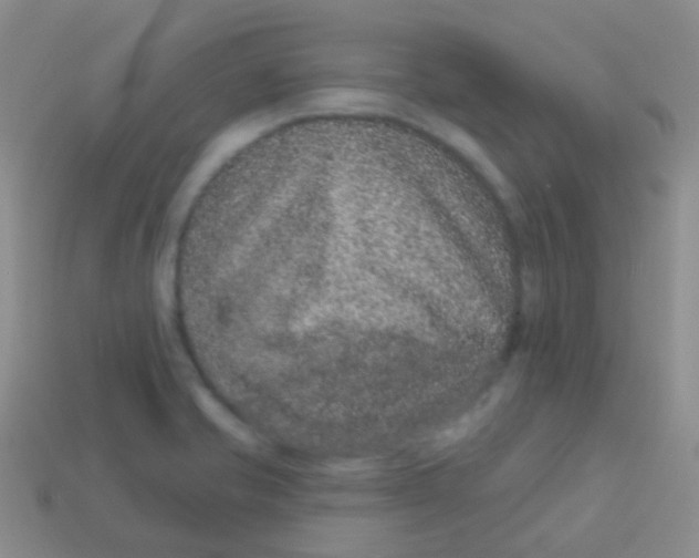 X0000113631421200910162005