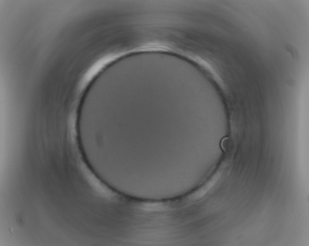 X0000113631422200910162005