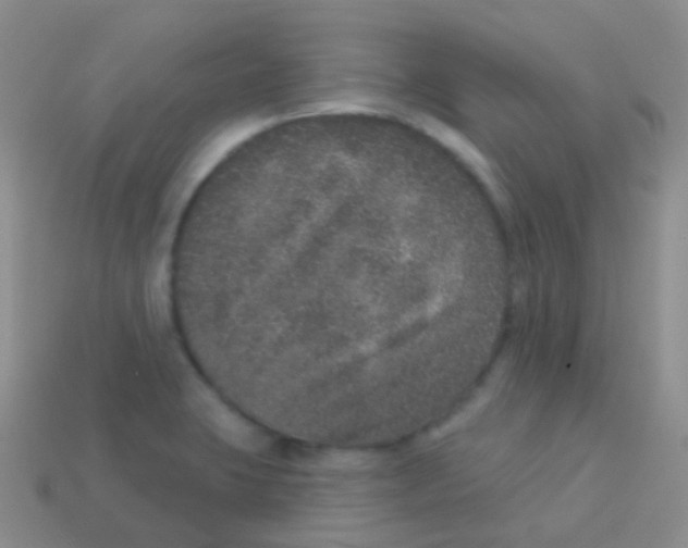 X0000113631423200910162005