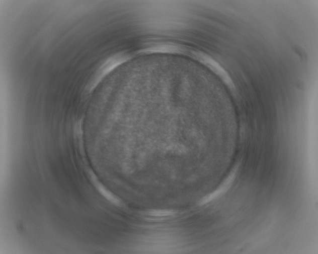 X0000113631425200910162005