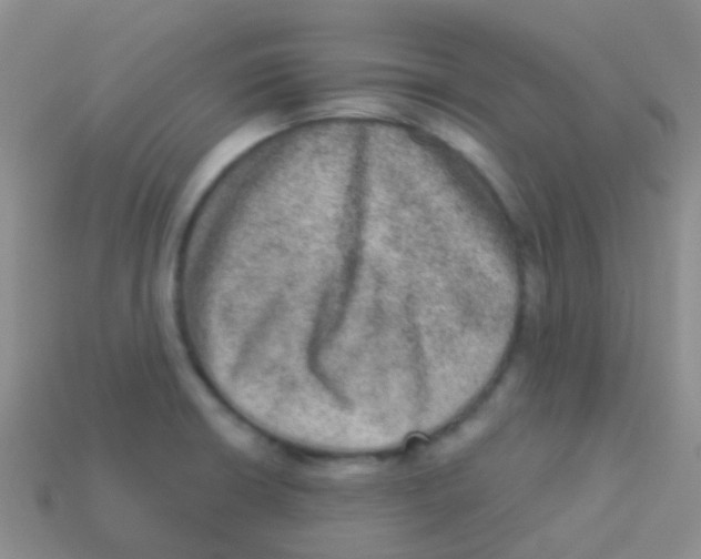 X0000113631426200910162005