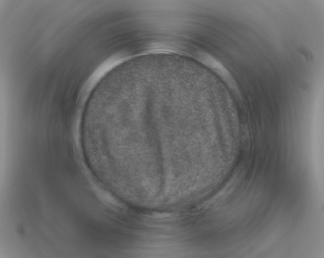 X0000113631427200910162005