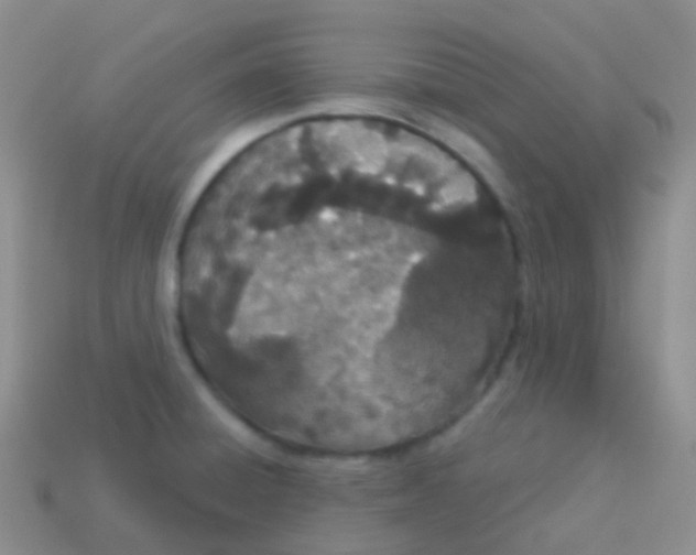 X0000113631428200910162005