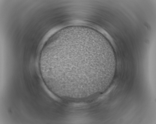 X0000113631429200910162005