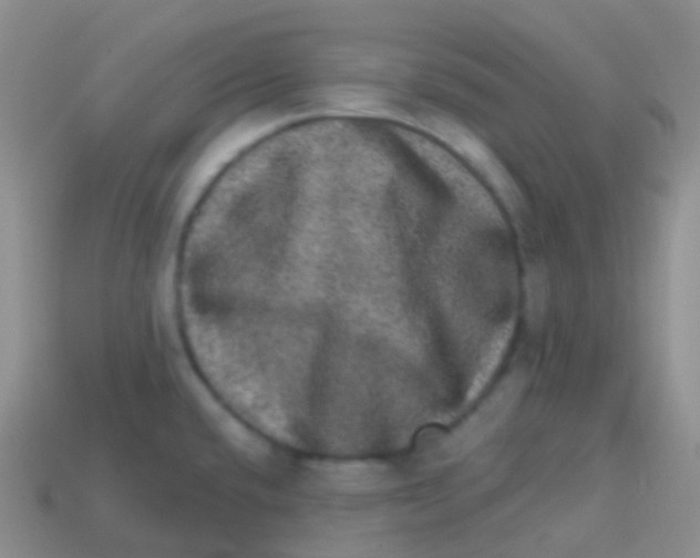 X0000113631432200910162005