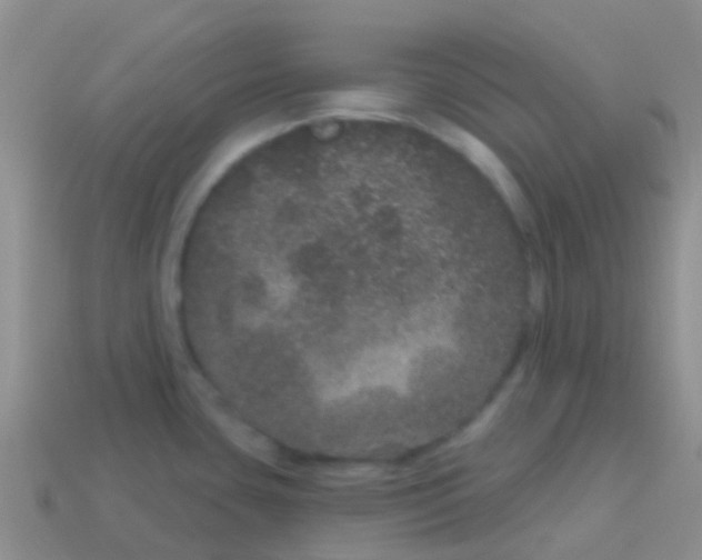 X0000113631435200910162005