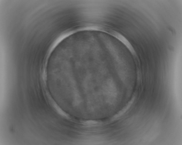 X0000113631436200910162005