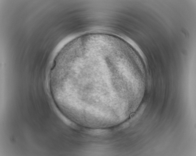 X0000113631437200910162005