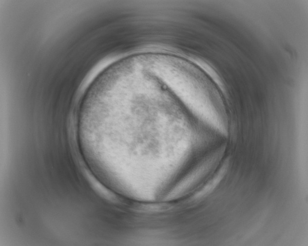 X0000113631438200910162006