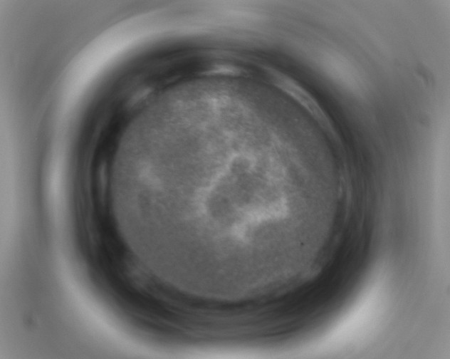 X0000113631439200910162006