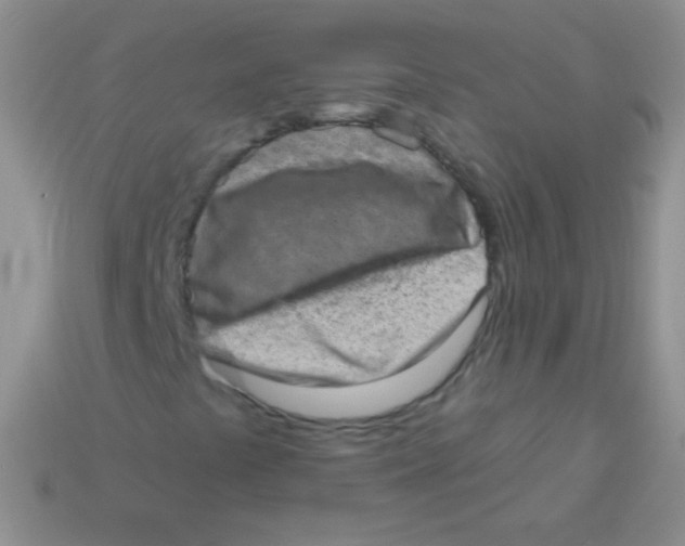 X0000113631441200910162005