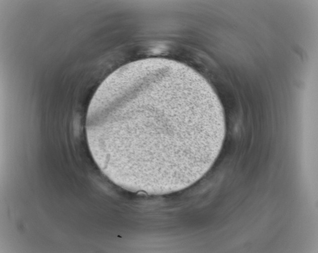 X0000113631442200910162005