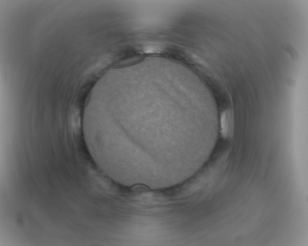 X0000113631443200910162005