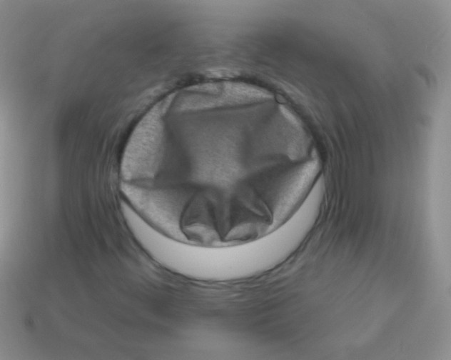 X0000113631444200910162005