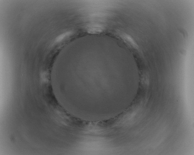 X0000113631445200910162005