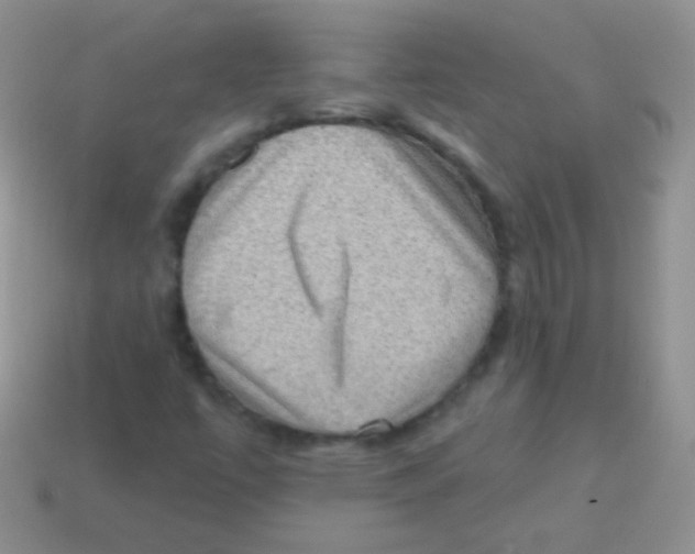 X0000113631447200910162005