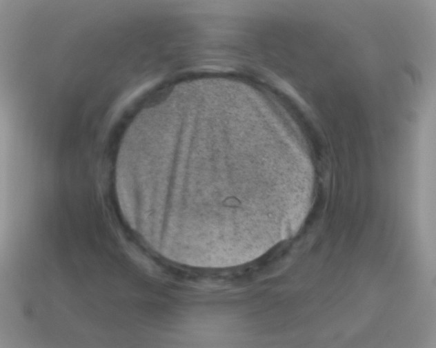 X0000113631448200910162005