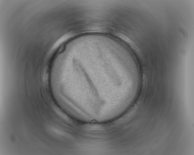 X0000113631450200910162005