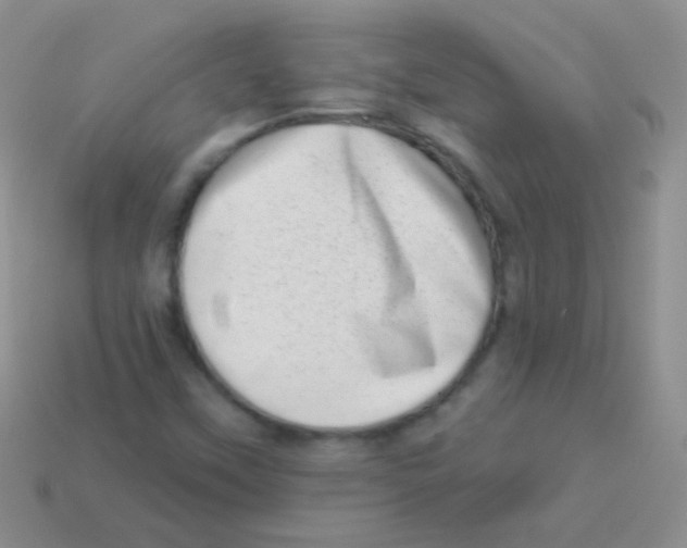 X0000113631451200910162005