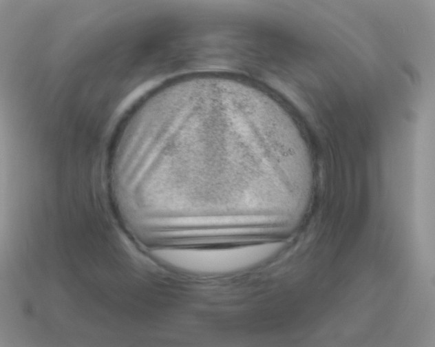 X0000113631452200910162005