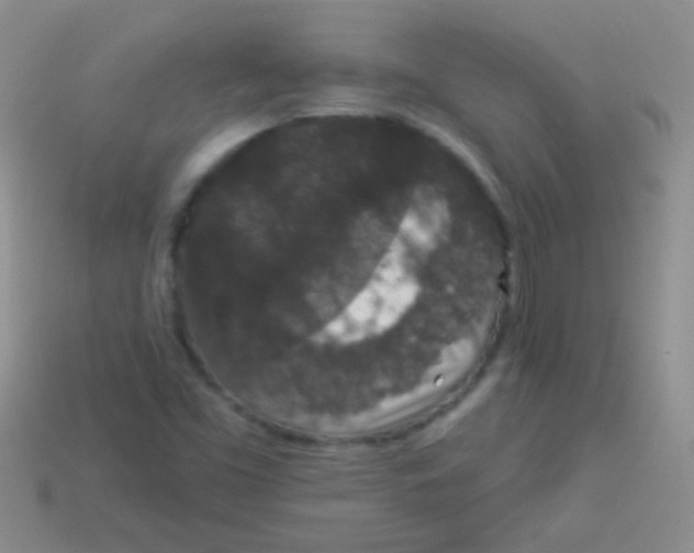 X0000113631453200910162005