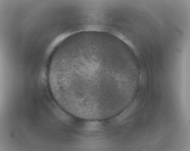 X0000113631454200910162005